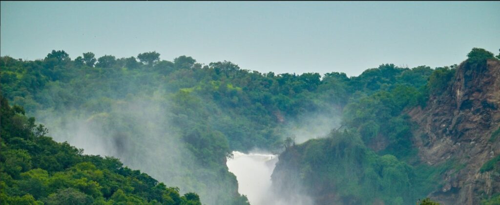 Experience a 4 Days Murchison Falls Safari featuring rhino tracking
